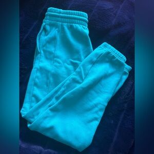 aritzia cozy teal sweatpants